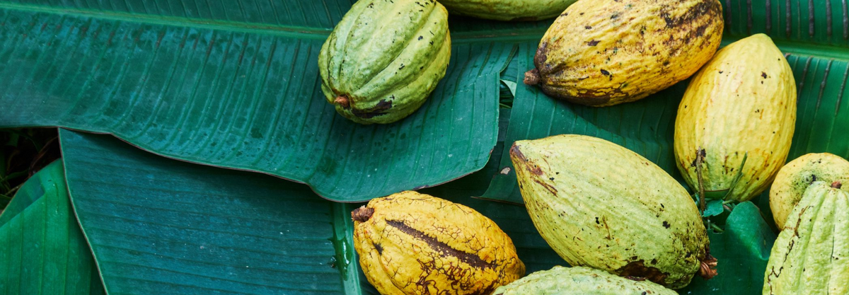 Fairtrade at &nbsp;&nbsp;&nbsp;&nbsp;&nbsp;&nbsp;&nbsp;